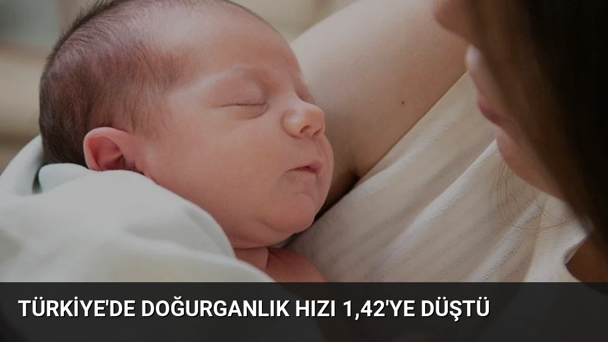 Türkiye’de doğurganlık hızı 1,42’ye düştü