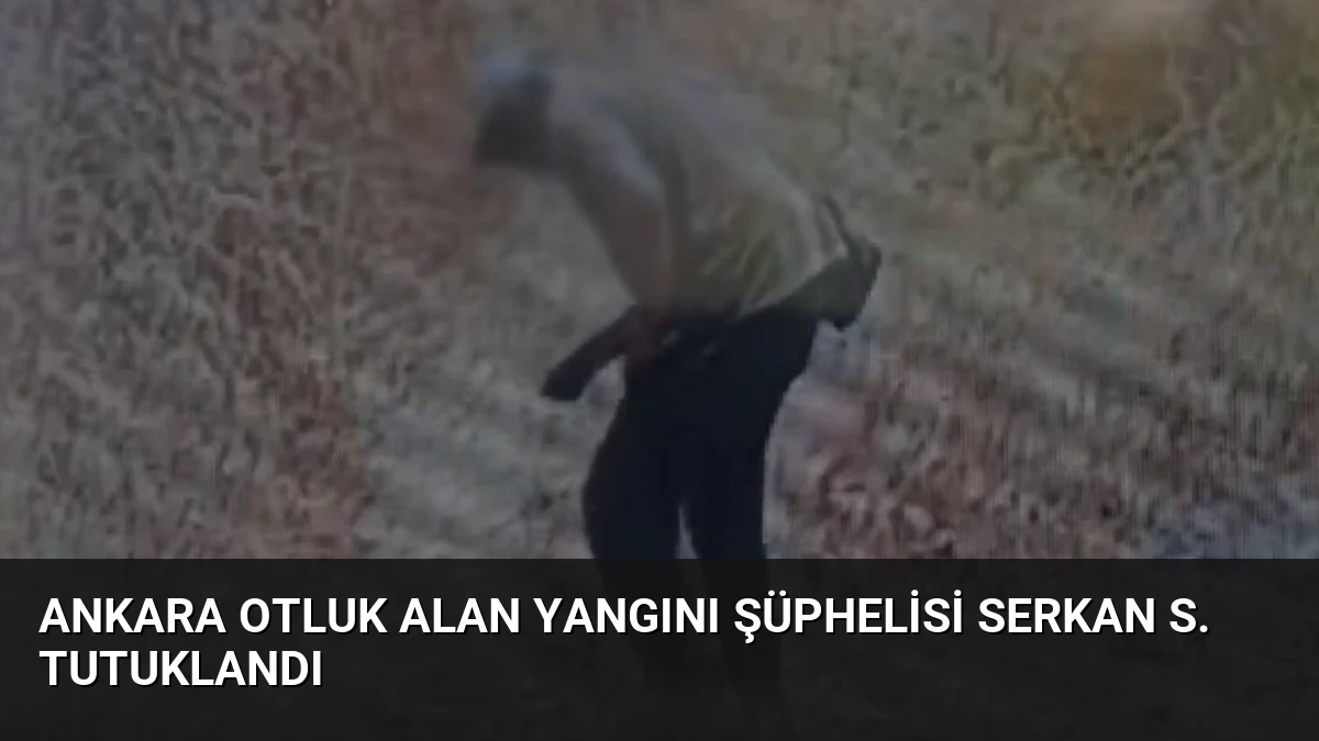 Ankara Otluk Alan Yangını Şüphelisi Serkan S. Tutuklandı