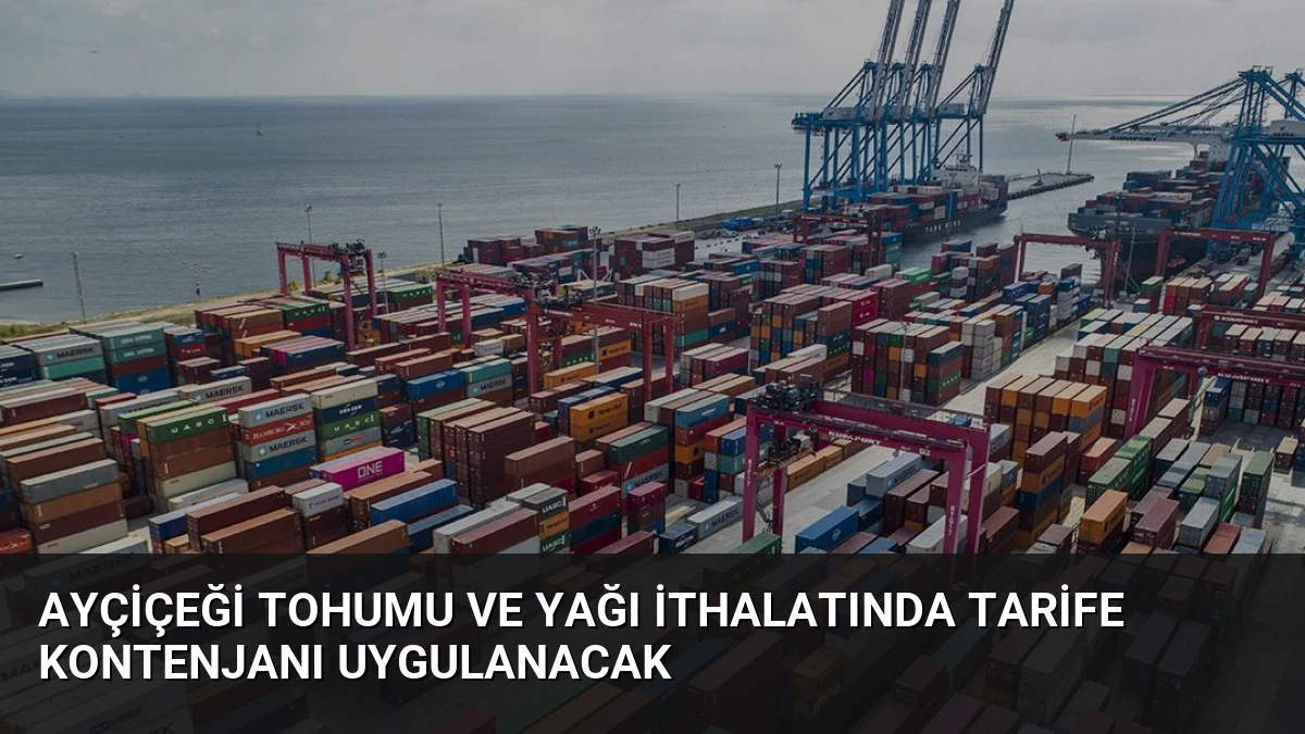 Ayçiçeği Tohumu ve Yağı İthalatında Tarife Kontenjanı Uygulanacak