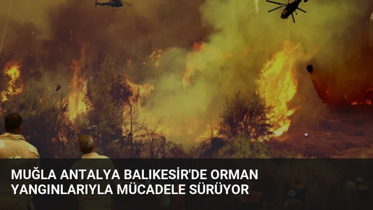 Muğla Antalya Balıkesir’de Orman Yangınlarıyla Mücadele Sürüyor