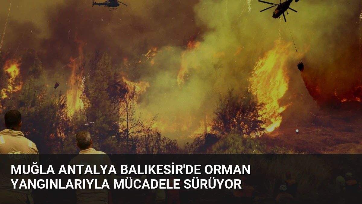 Muğla Antalya Balıkesir’de Orman Yangınlarıyla Mücadele Sürüyor