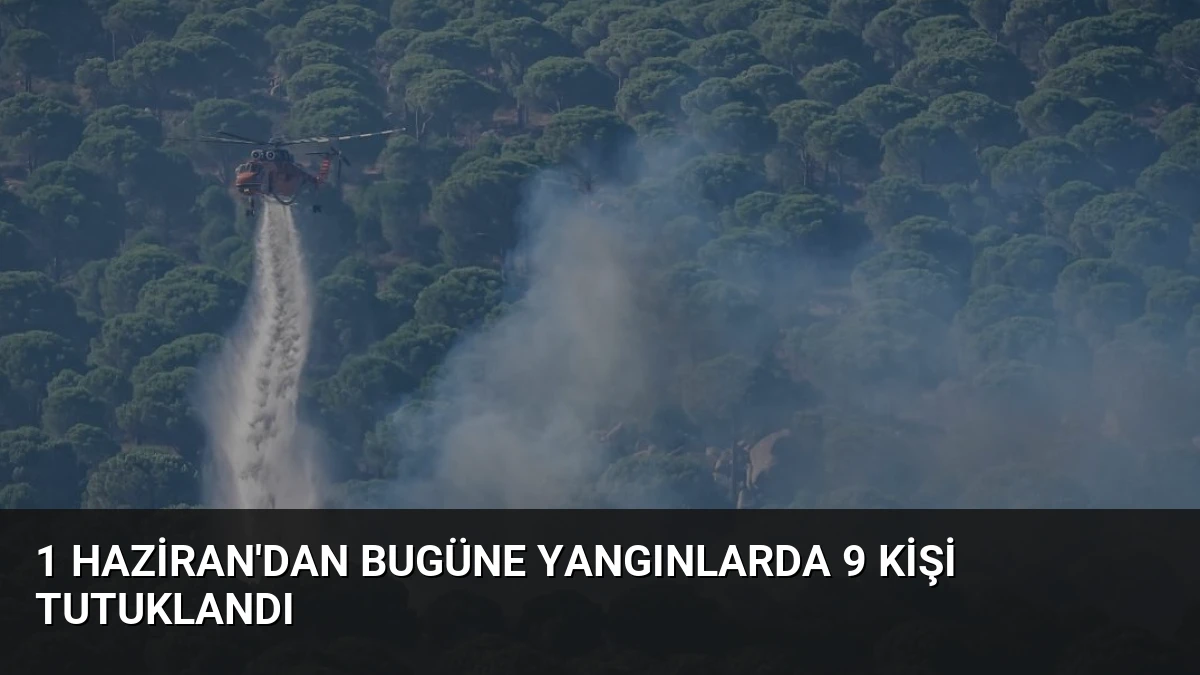 1 Haziran’dan Bugüne Yangınlarda 9 Kişi Tutuklandı