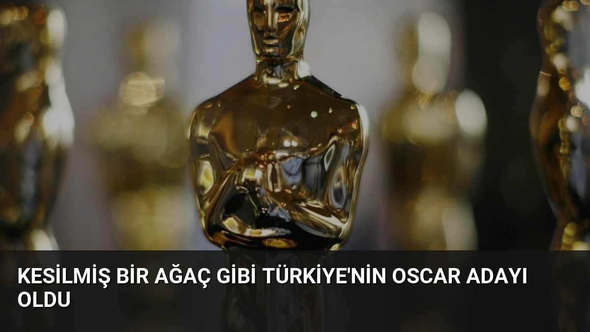 Kesilmiş Bir Ağaç Gibi Türkiye’nin Oscar Adayı Oldu