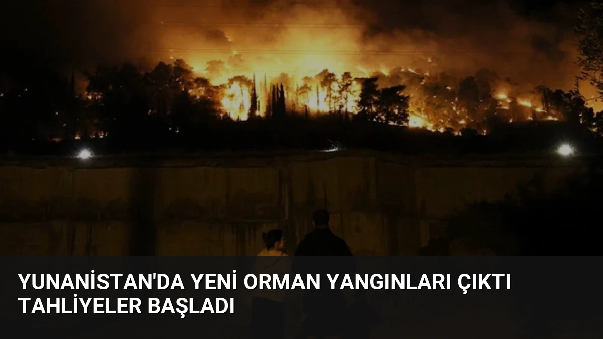 Yunanistan’da Yeni Orman Yangınları Çıktı Tahliyeler Başladı