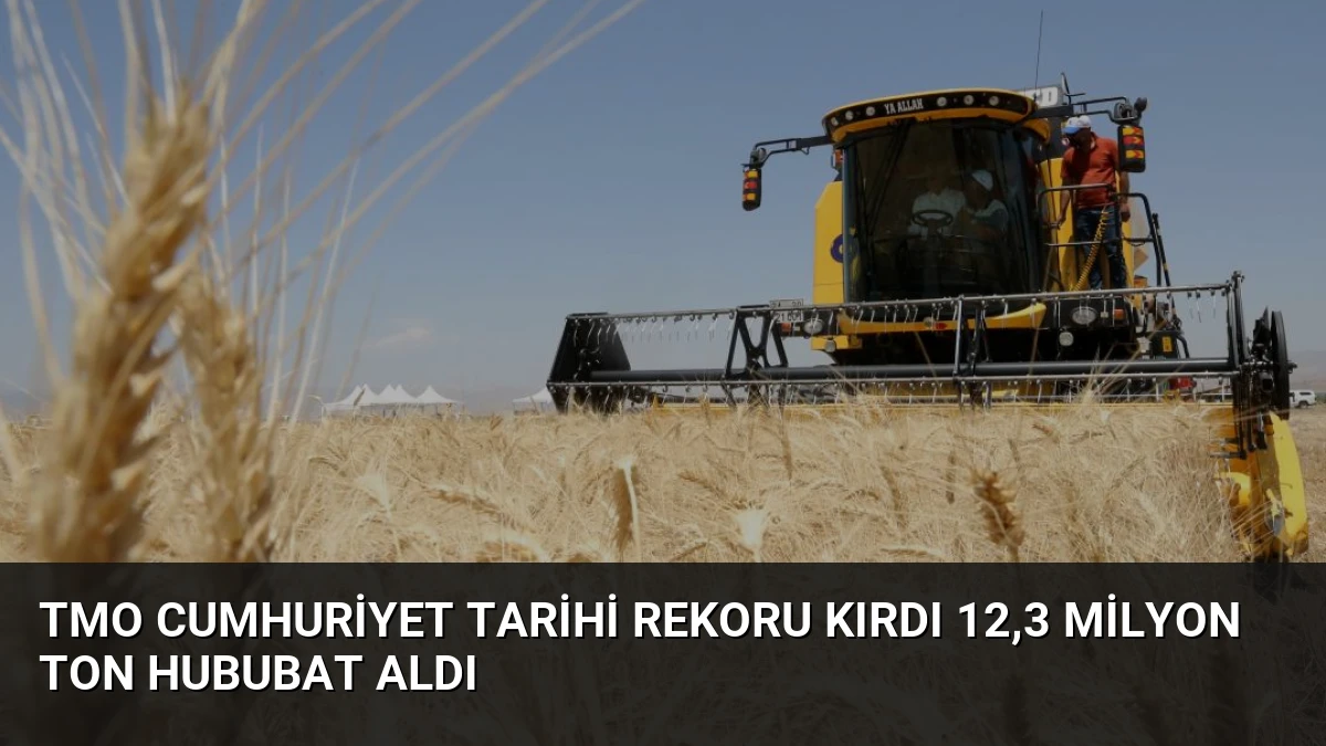 TMO Cumhuriyet Tarihi Rekoru Kırdı 12,3 Milyon Ton Hububat Aldı