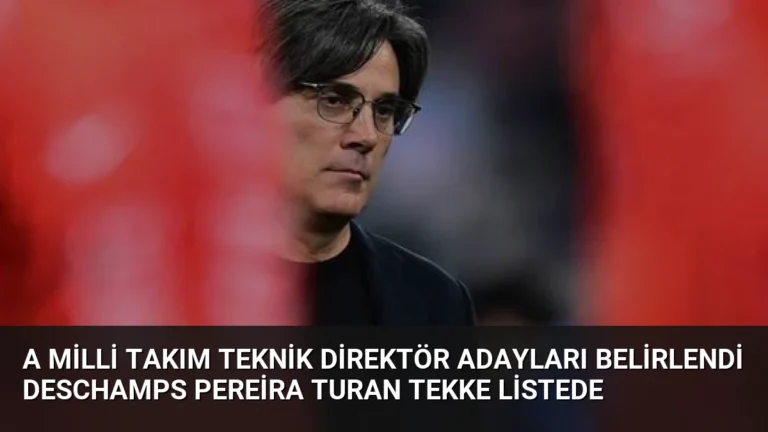 A Milli Takım Teknik Direktör Adayları Belirlendi Deschamps Pereira Turan Tekke Listede