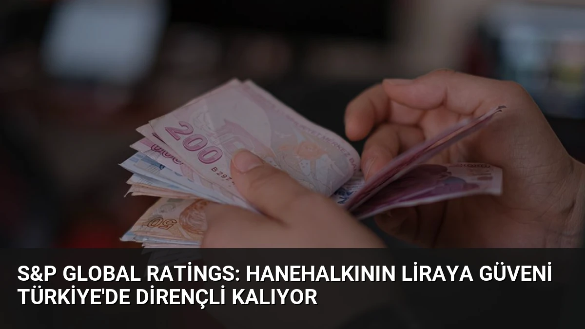 S&P Global Ratings: Hanehalkının Liraya Güveni Türkiye’de Dirençli Kalıyor