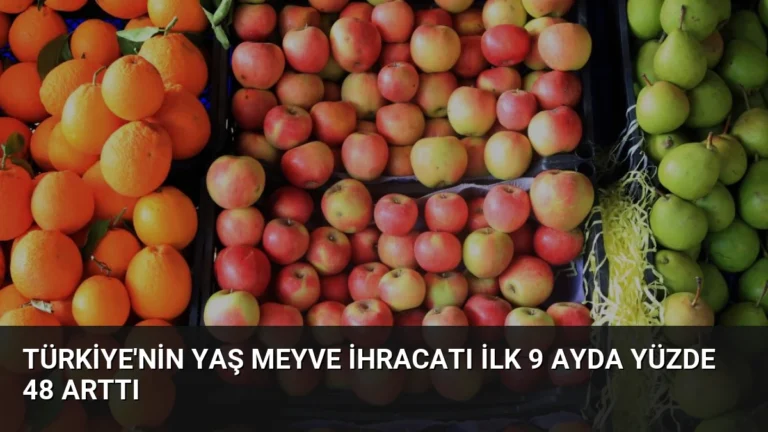 Türkiye’nin Yaş Meyve İhracatı İlk 9 Ayda Yüzde 48 Arttı